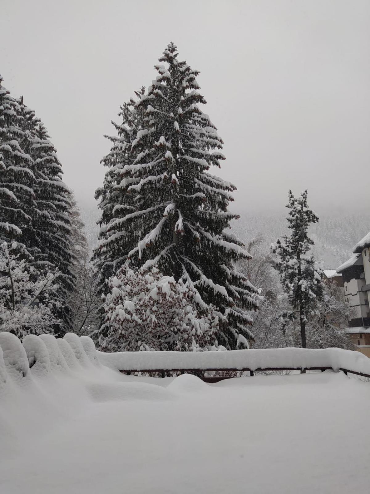 Mont Blanc View Chamonix Apartment ภายนอก รูปภาพ