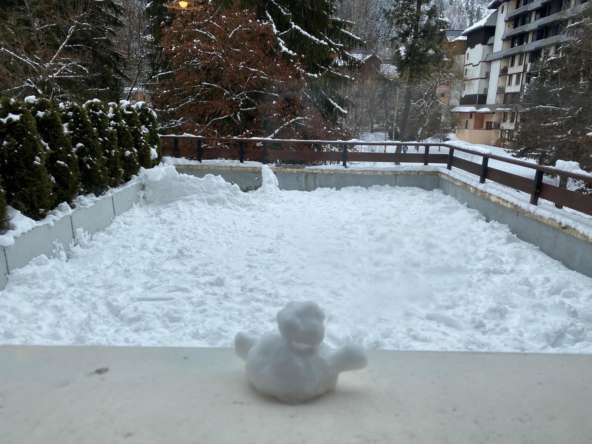 Mont Blanc View Chamonix Apartment ภายนอก รูปภาพ